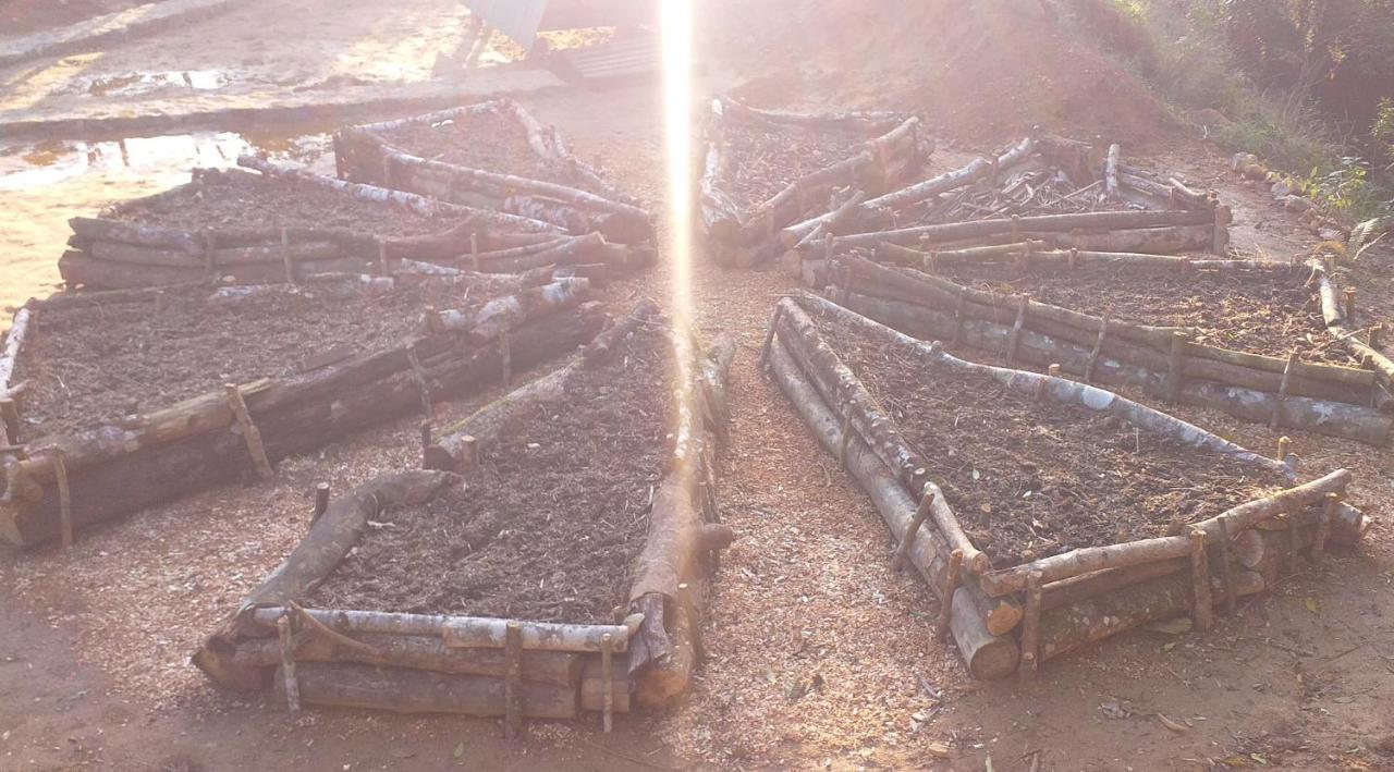 Terras De Maria Bonita Otel Araquari Dış mekan fotoğraf